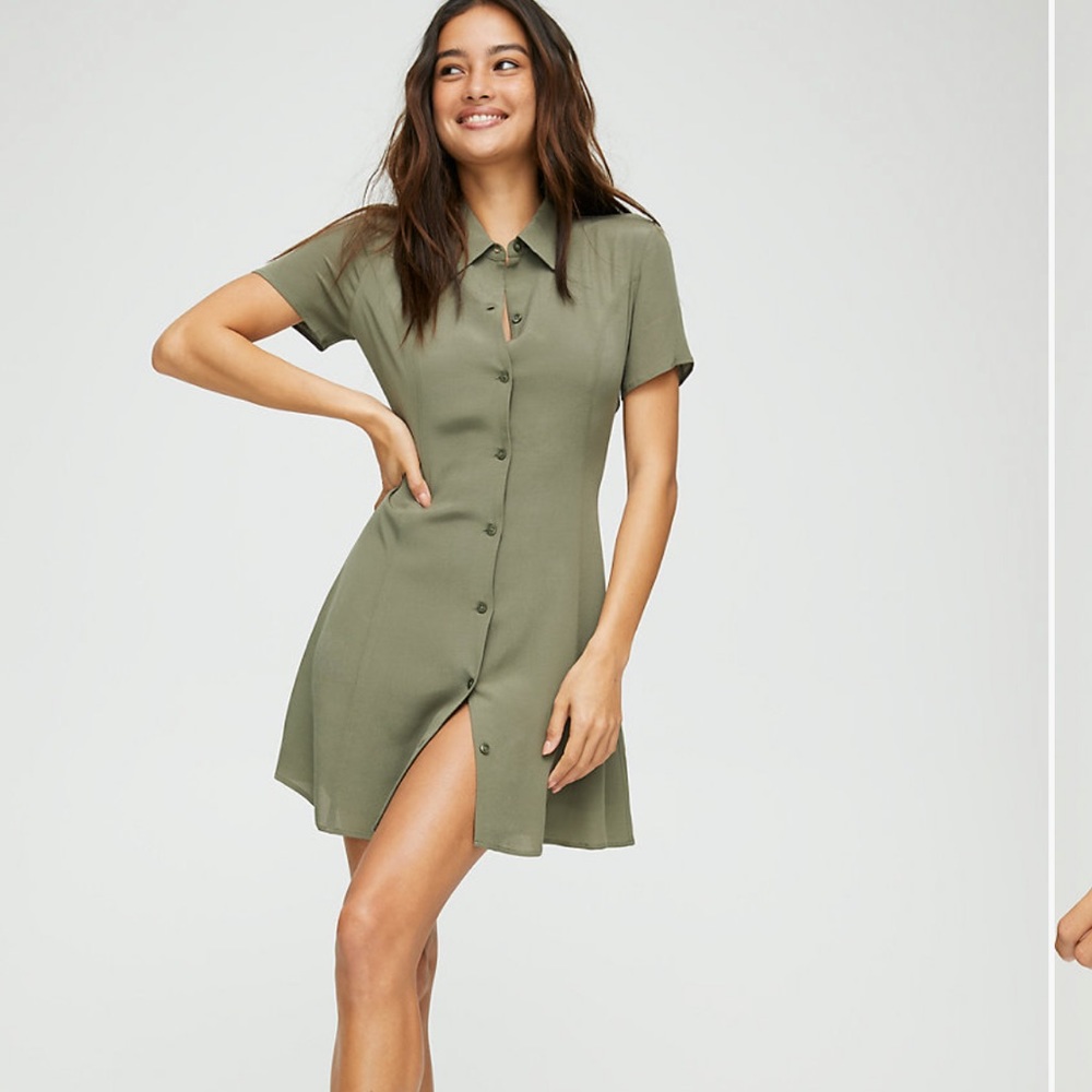 Winnie Aritzia Button Up Dress